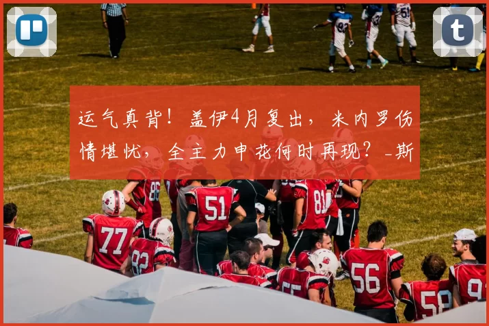 运气真背！盖伊4月复出，米内罗伤情堪忧，全主力申花何时再现？_斯卢茨基_球迷_比赛