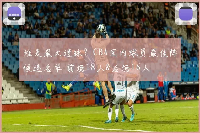 谁是最大遗珠？CBA国内球员最佳阵候选名单 前场18人&后场16人