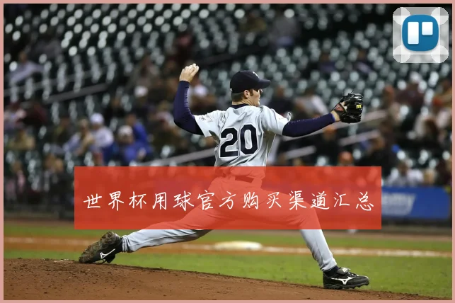 世界杯用球官方购买渠道汇总