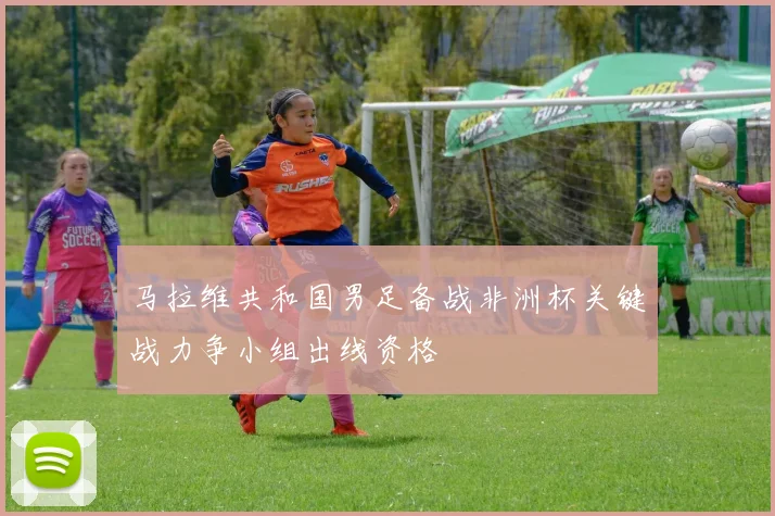 马拉维共和国男足备战非洲杯关键战力争小组出线资格